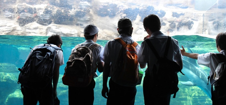 a school field trip for students in College Station